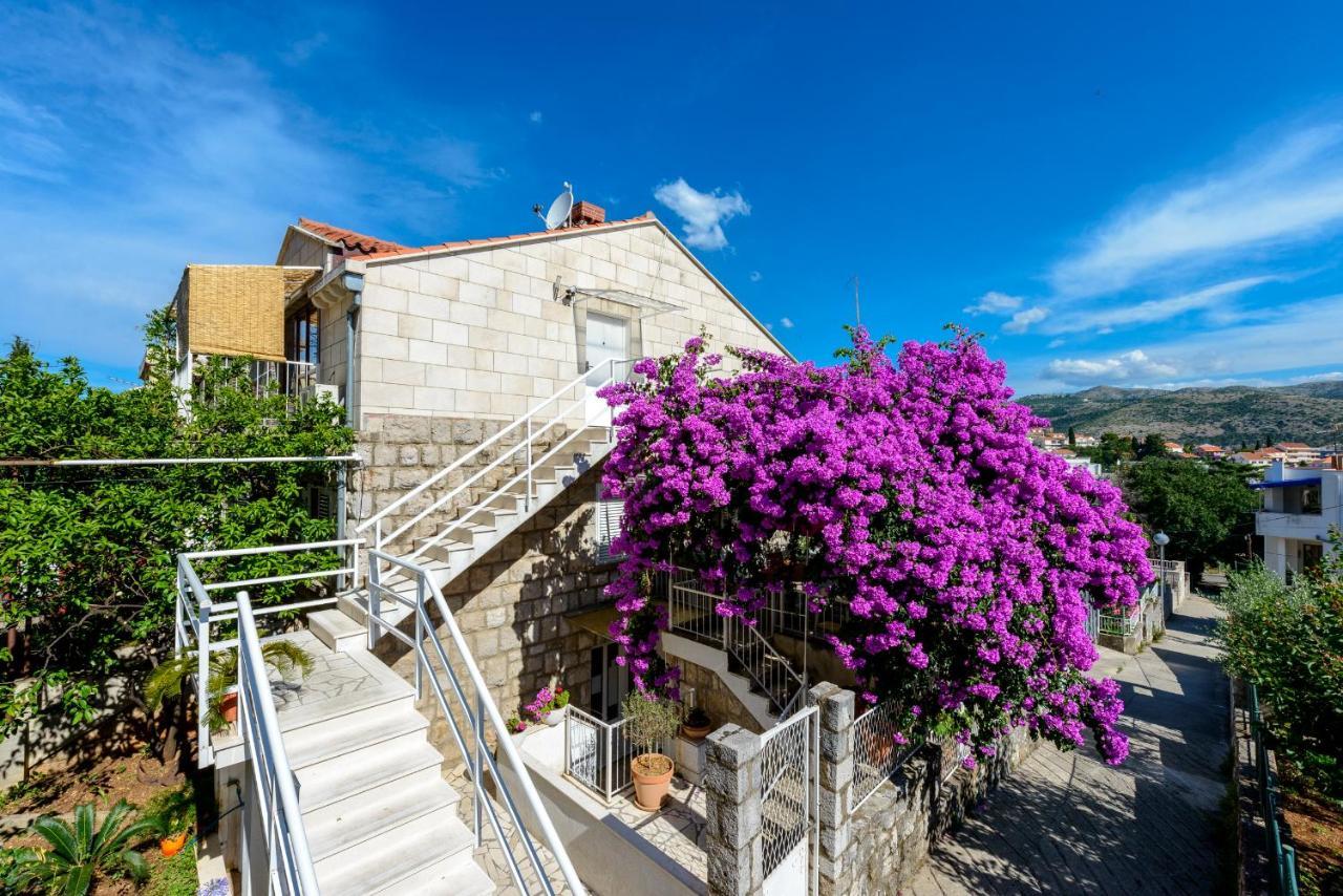 Beach Lapad Apartment Villa Tolja Dubrovnik Ngoại thất bức ảnh